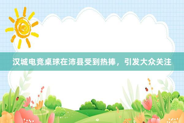 汉城电竞桌球在沛县受到热捧，引发大众关注