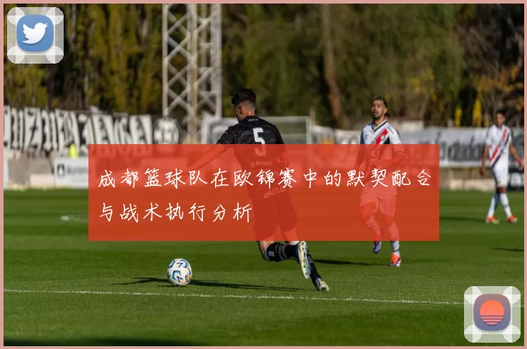 成都篮球队在欧锦赛中的默契配合与战术执行分析