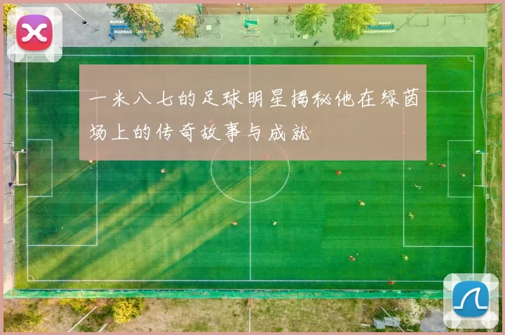 一米八七的足球明星揭秘他在绿茵场上的传奇故事与成就