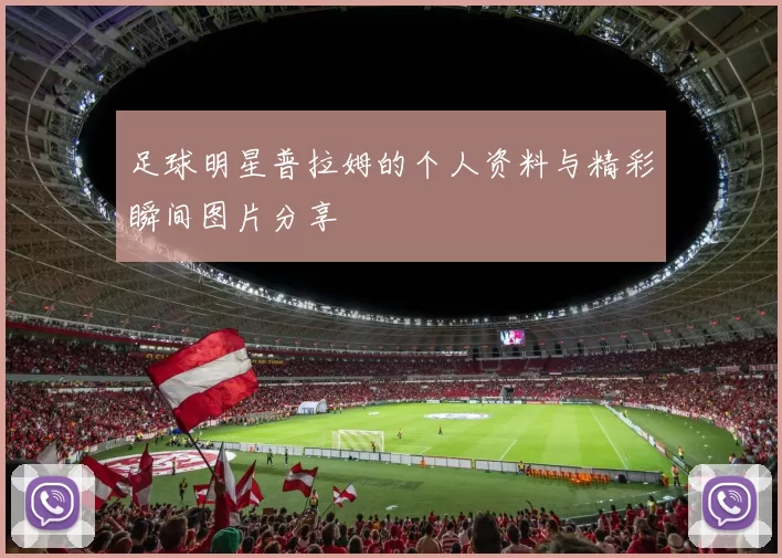 足球明星普拉姆的个人资料与精彩瞬间图片分享