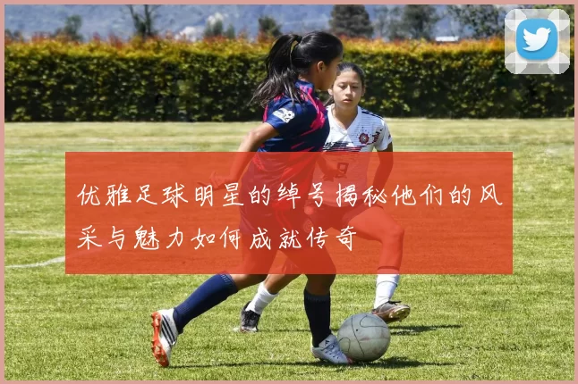 优雅足球明星的绰号揭秘他们的风采与魅力如何成就传奇