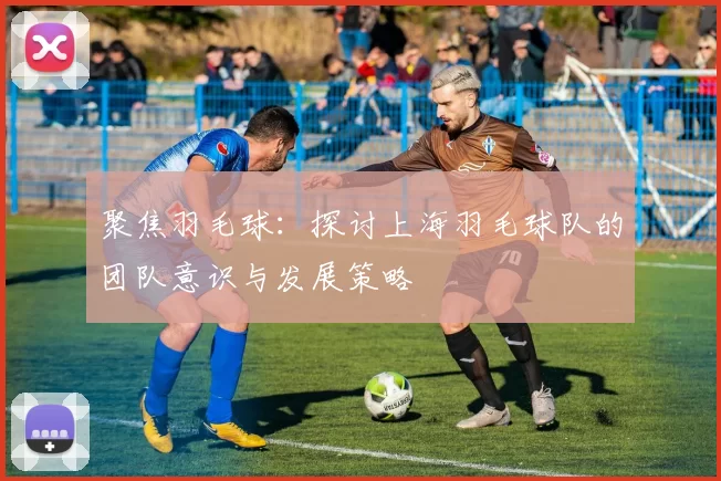 聚焦羽毛球：探讨上海羽毛球队的团队意识与发展策略