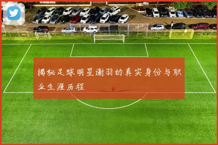 揭秘足球明星谢羽的真实身份与职业生涯历程