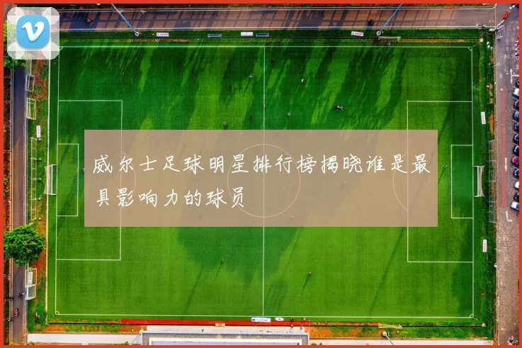 威尔士足球明星排行榜揭晓谁是最具影响力的球员