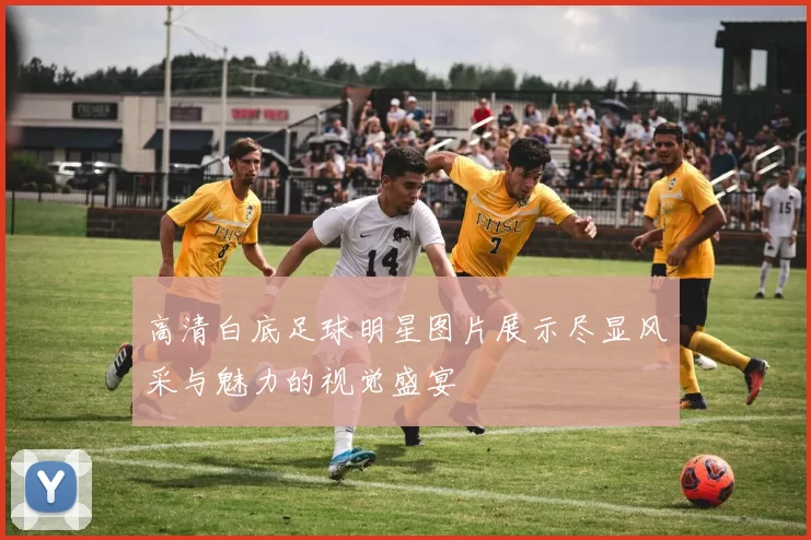 高清白底足球明星图片展示尽显风采与魅力的视觉盛宴