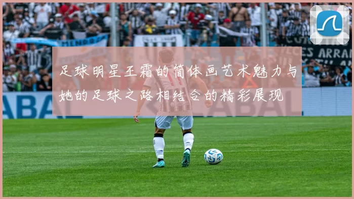 足球明星王霜的简体画艺术魅力与她的足球之路相结合的精彩展现