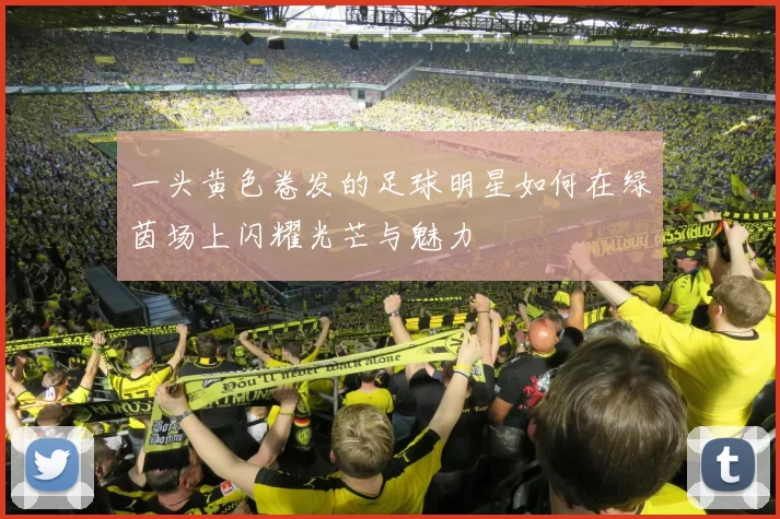 一头黄色卷发的足球明星如何在绿茵场上闪耀光芒与魅力