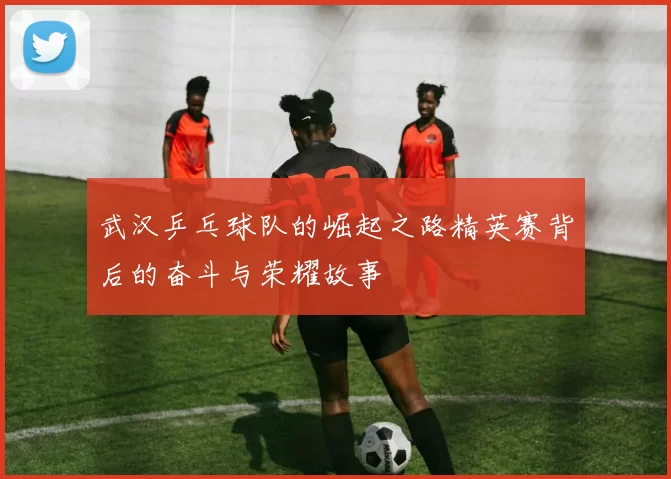 武汉乒乓球队的崛起之路精英赛背后的奋斗与荣耀故事