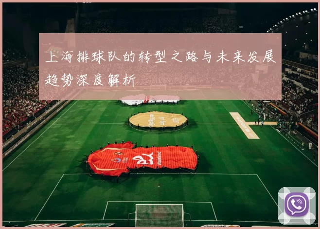 上海排球队的转型之路与未来发展趋势深度解析