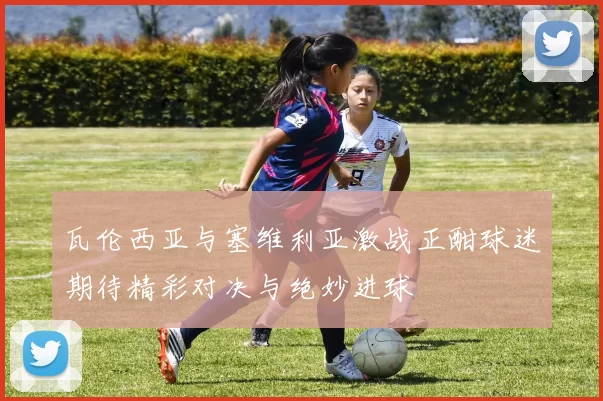 瓦伦西亚与塞维利亚激战正酣球迷期待精彩对决与绝妙进球