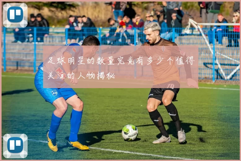 足球明星的数量究竟有多少个值得关注的人物揭秘
