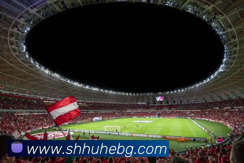 星空官网首页入口APP 封面图