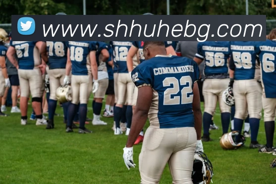 平台使命图
